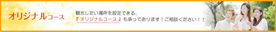 オリジナルコース 観光したい場所を設定できる、『 オリジナルコース 』も承っております！ご相談ください！！
